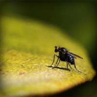 /album/oboi-dlya-robochogo-stolu/photolia-a07-jpg/